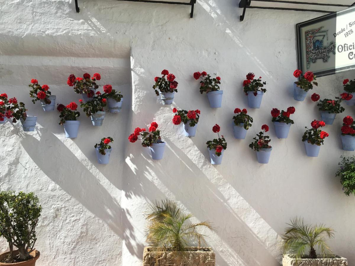 Paris Fashion - Torremolinos Διαμέρισμα Εξωτερικό φωτογραφία